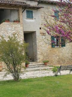 Fattoria di Rigone - Coltavolino - 6