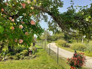 Coin de nature en Puisaye - - 9