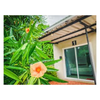 พักดีรีสอร์ท 2 - Nakhon Ratchasima - 8