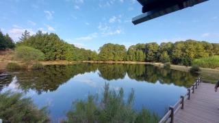 Lake House - Dullstroom - 3