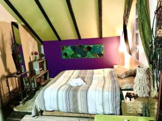 Pet friendly Charming house with garden - 7