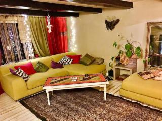 Pet friendly Charming house with garden - 8