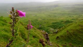 Uig Chalets Idrigill Hill Chalet - Uig - 9
