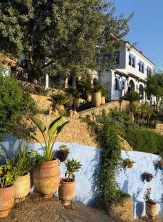 Dar Jasmine - Chefchaouen - 0
