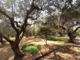 Stone house among trees - 5