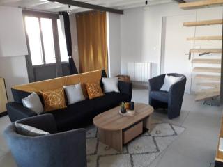 Gîte 4/5 personnes - Marais Poitevin - Coulon - Coulon - 2