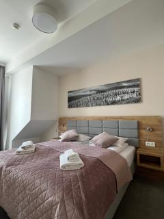 Aparthotel Apartamenty Czarna Góra 410 - Sienna - 0