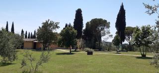 Villa Poggio le Vignacce - Marciano - 4