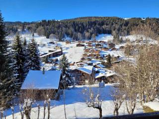 Appartement rénové 2 chambres - 5 pers, balcon, parking, WIFI Les Gets - FR-1-598-98 - Les Gets - 3