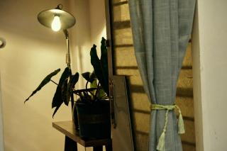 Peaceful Saigon - Entire house 1BR in District 1 - Pet-friendly - Ho Chi Minh - 3