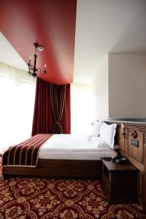 Castel Transilvania - Baia Mare - 9