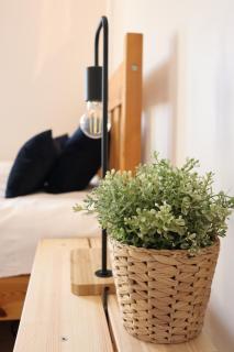 Przytulny apartament przy dworcu - Radom - 6