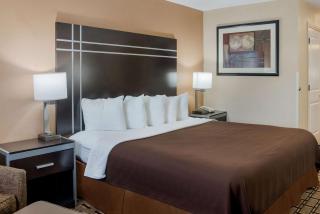 Best Western Nursanickel Hotel - Dalhart - 3