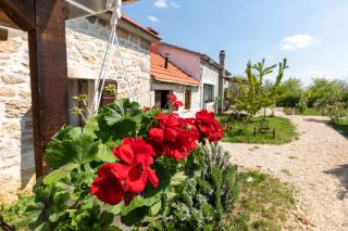 Family friendly house with a swimming pool Bogatic, Krka - 17168 - Oklaj - 5