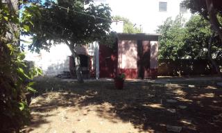 Apartments by the sea Povljana, Pag - 17222 - Povljana - 6