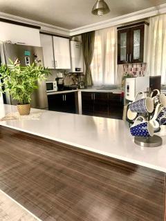 Ahmet teacher hotel,6 Minutes from the airport - Arnavutköy - 7