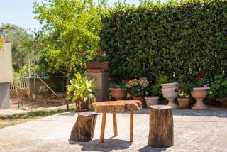 Apartments by the sea Petrcane, Zadar - 17342 - Petrcane - 5