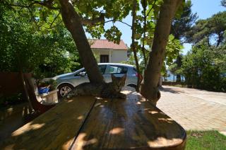 Apartments by the sea Petrcane, Zadar - 17179 - Petrcane - 2