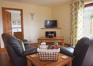 Heart Of Wales Lodges - Penybont - 6