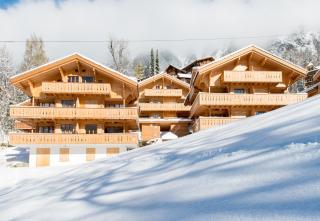 Panoramapark Soleil Chalet B - Wengen - 1