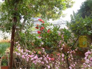 Apartments with parking space Banjole, Pula - 17398 - 5