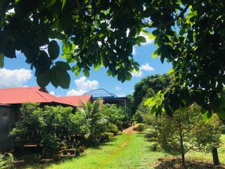 Ratanakiri Farmhouse & Trekking - Banlung - 9