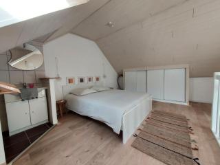 Appartement Duplex très lumineux en centre ville - Janzé - 3