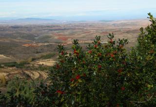 Holiday home Mirador Sierra del Madero - 6