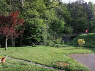 Appartement entier dans un écrin de verdure - Thann - 9