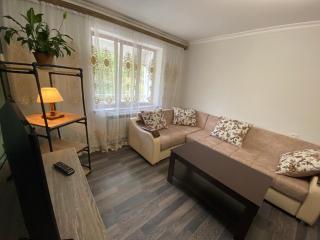 Lovely 2-bedroom apartment near AYB school - Dilijan - 8