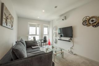 Fancy Penthouse Studio with Lakeview W10 - 3