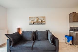 Cozy Penthousestudio Cityview W12 - Bucarest - 6