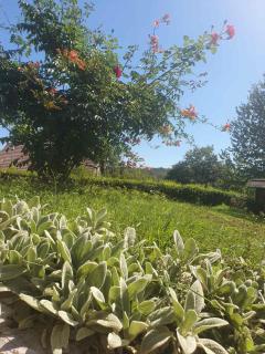 House Draga Plitvice - 6