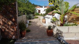 Finca Los Ciruelos Casas Rurales - Icod de los Vinos - 9