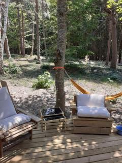 Chalet libellule Domaine de la Mamounette - Champclause - 2