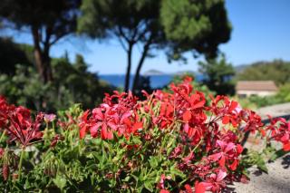 Casa del Mare - Oasi verde a soli 100m dal mare! - 2