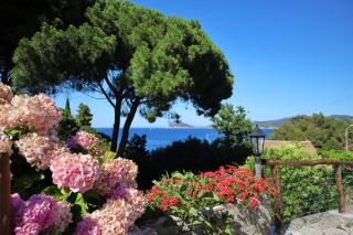 Casa del Mare - Oasi verde a soli 100m dal mare! - Marciana Marina - 5