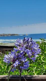 Morros House Pichilemu - Pichilemu - 4