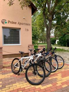 Prána Apartman - Herend - 3
