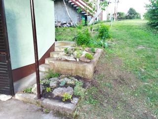 Holiday Home Bruno - 5