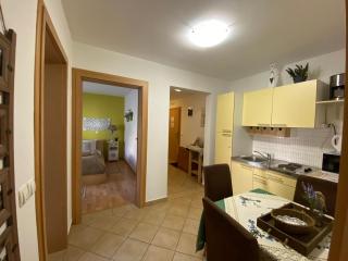 Villa СARPE DIEM - Laško - 3