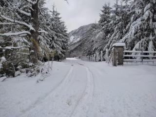 Snowko - Malalcahuello - 5