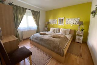 Villa СARPE DIEM - Laško - 9