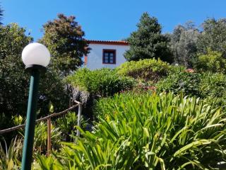 Cantinho Rural - Camacha - 3