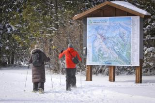 Northwoods Paradise - 5