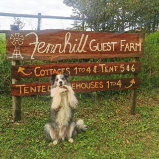Fernhill Guest Farm - Knysna - 6