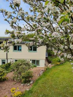 Broadhaven Cottage, Freshwater East, Pembs - Pembroke - 0