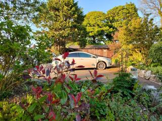 Broadhaven Cottage, Freshwater East, Pembs - Pembroke - 3