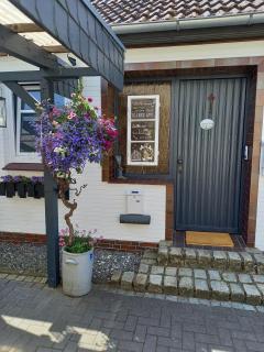 Ferien zwischen den Meeren - 8