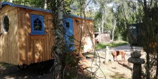 Sapphire forest garden shepherd’s hut - Church Stretton - 6